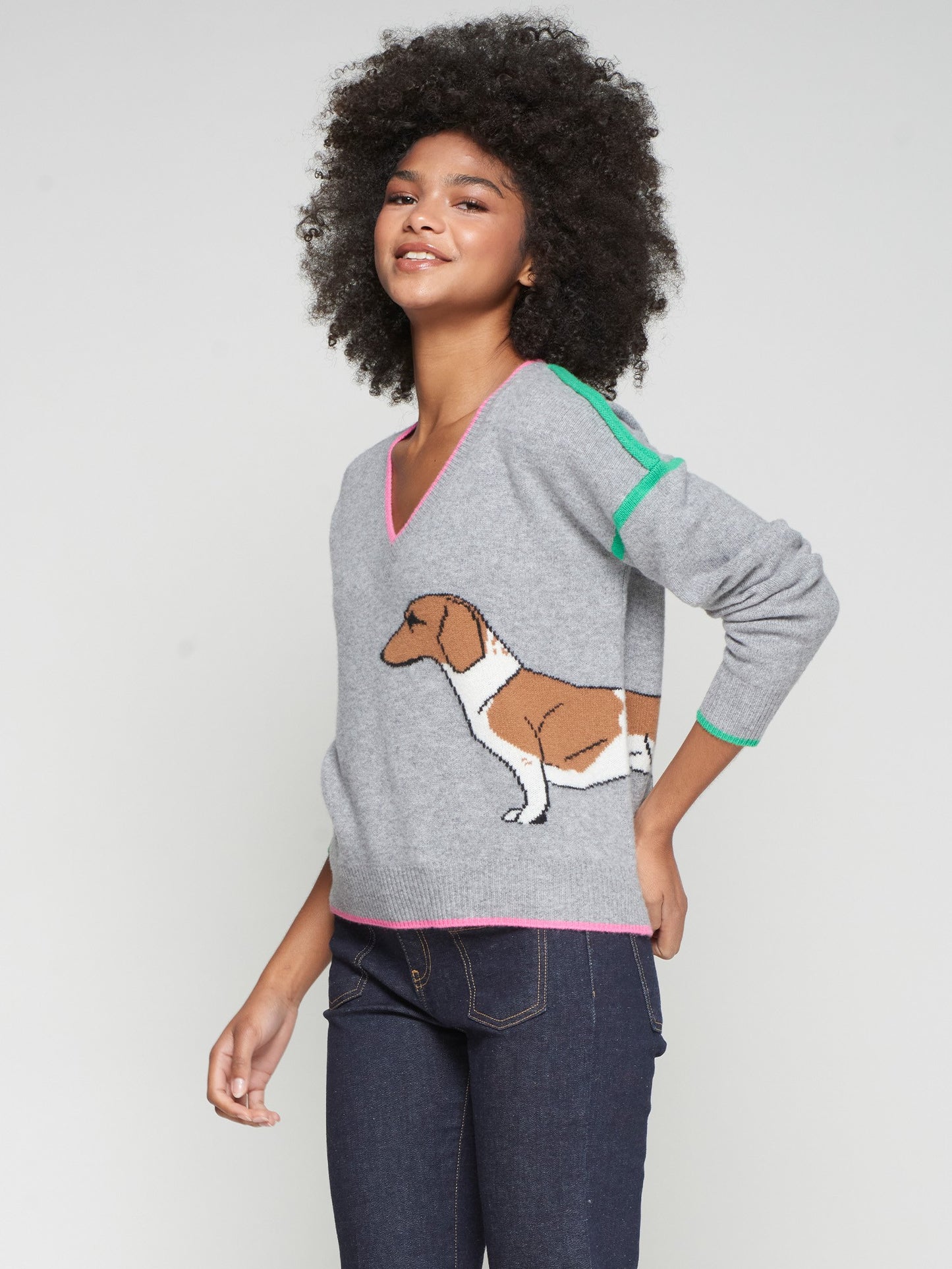Grey Dachshund Sweaters