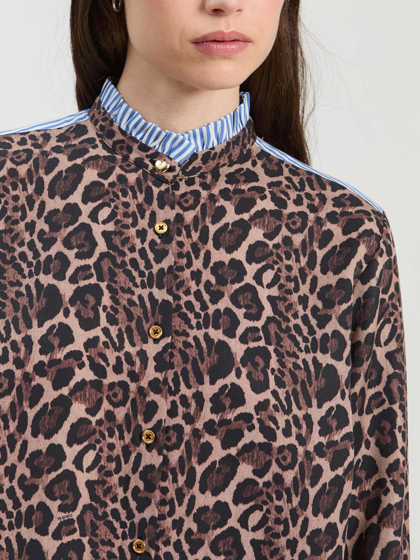 Animal Print with Blue Accents