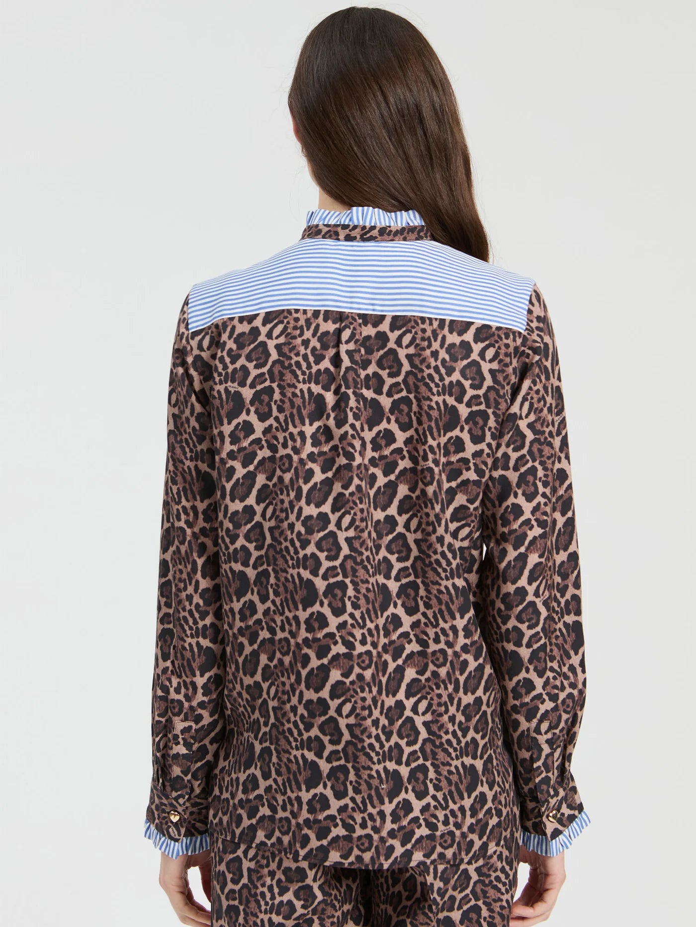 Animal Print with Blue Accents