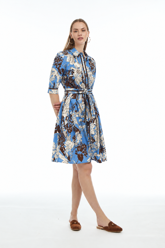 Brown and Blue Kelly Dress