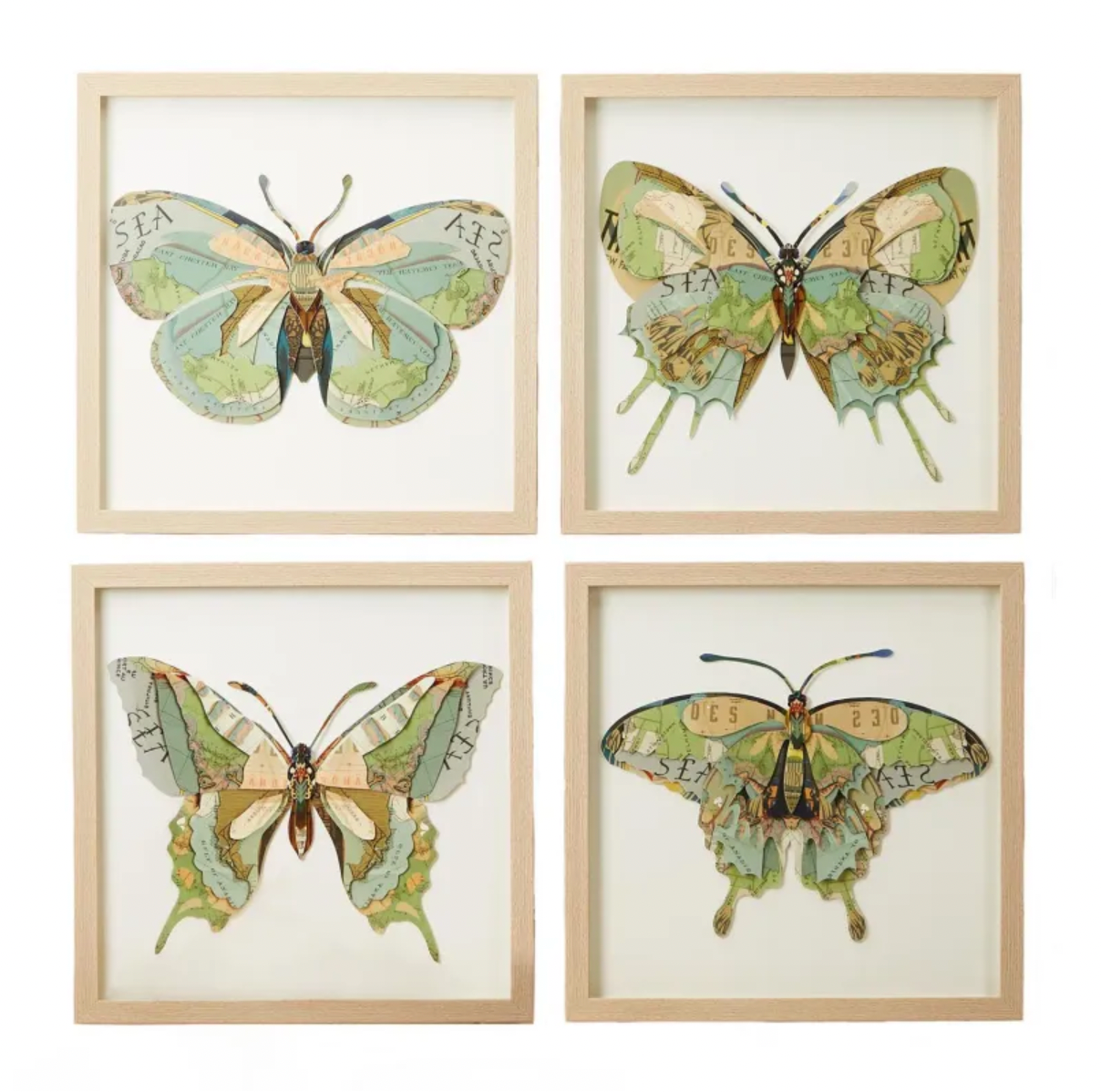 Butterfly Collage Wall art