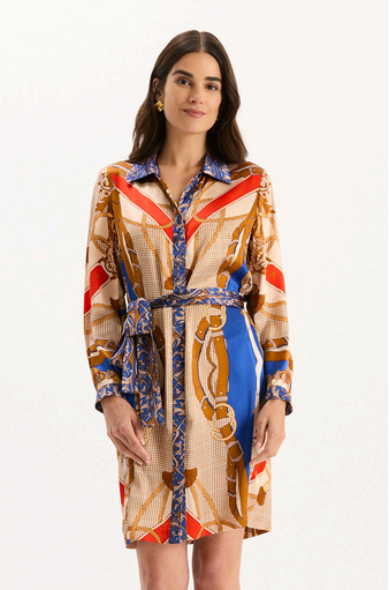 Silk Multi Dress