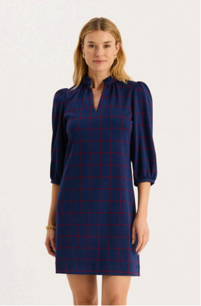 Navy with Red detailing plaid