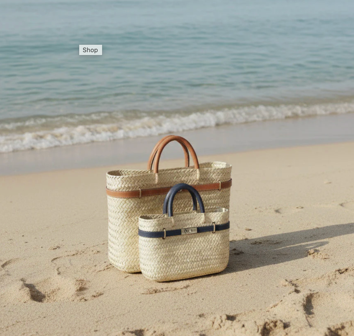 Panier Bag