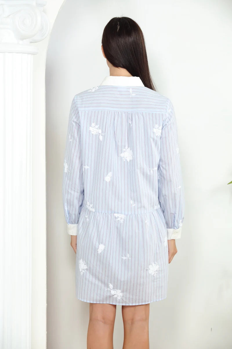 Stripe Shirt Dress